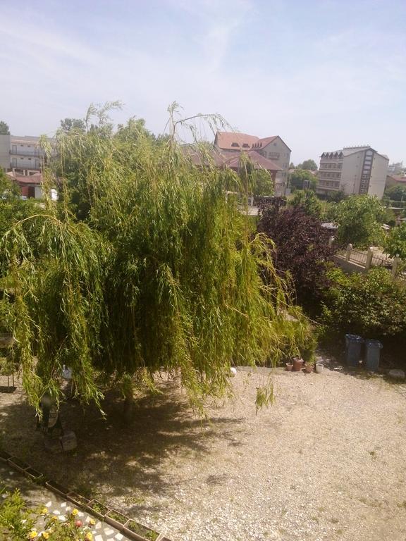 Casa Dalena Ξενοδοχείο Costinești Εξωτερικό φωτογραφία